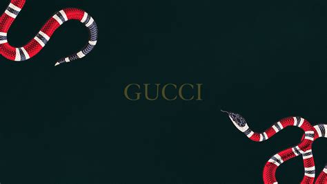 gucci snakes are nice